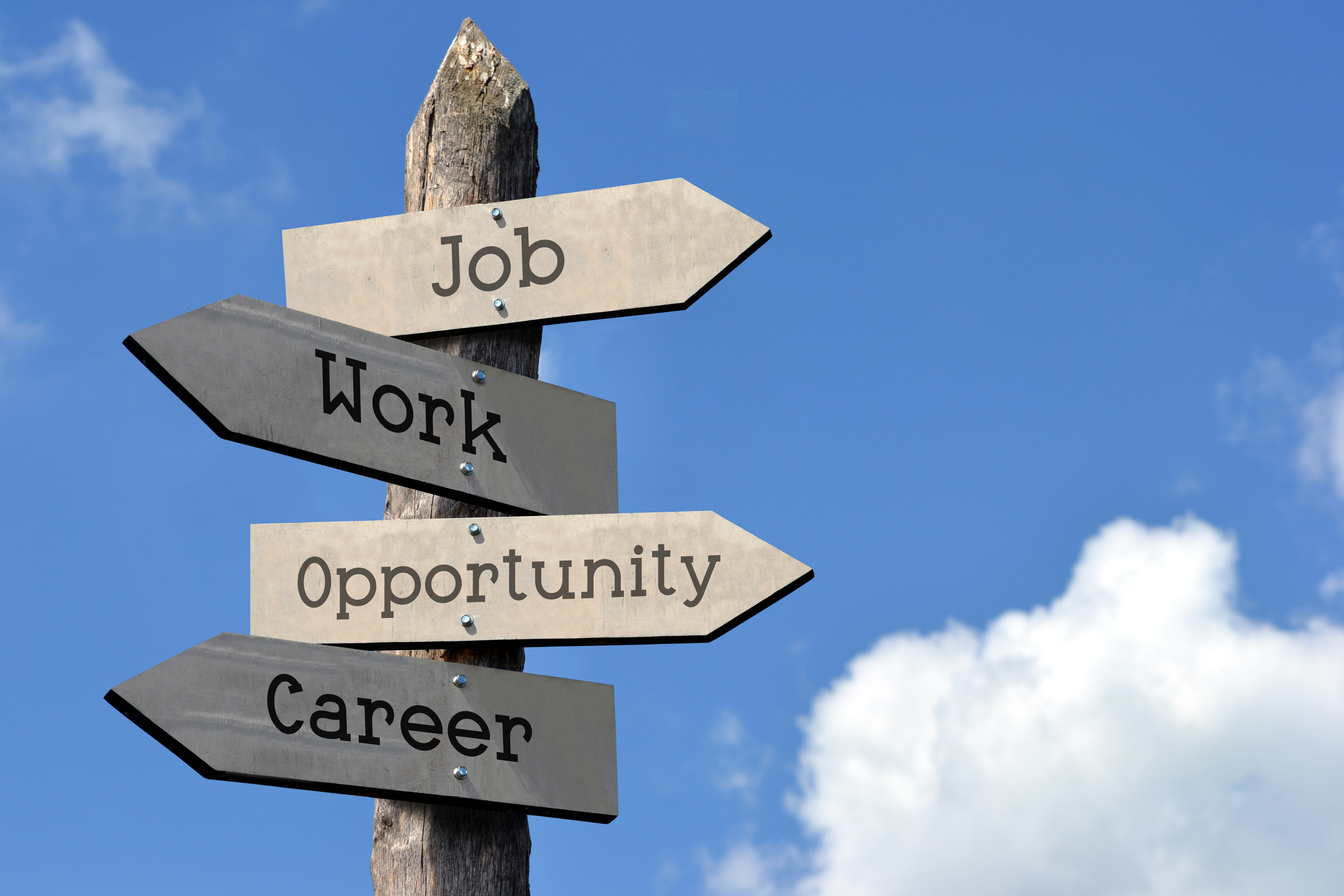 Job Career Work Opportunity Wooden Signpost With Four Arrows Sky With Clouds