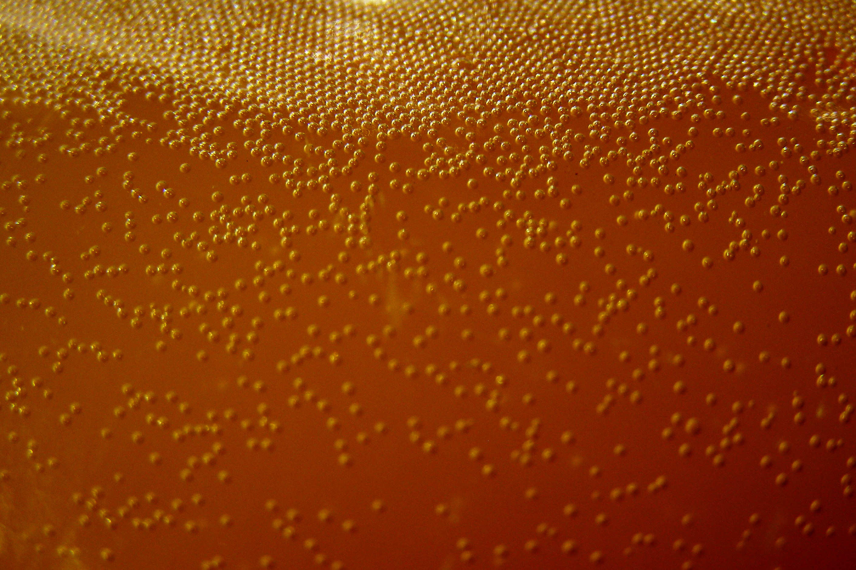 Rising bubbles from yeast fermentation 2