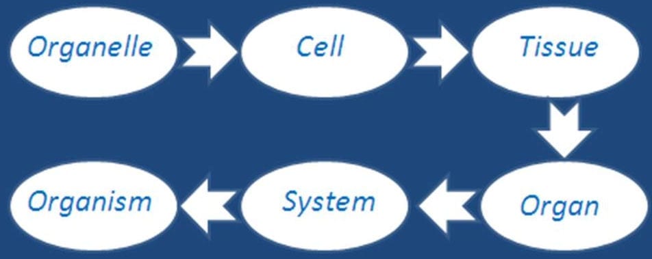 Systems2